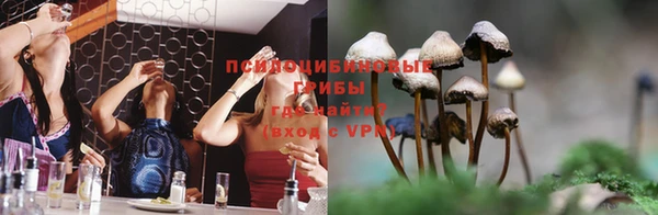 кокс Алексин