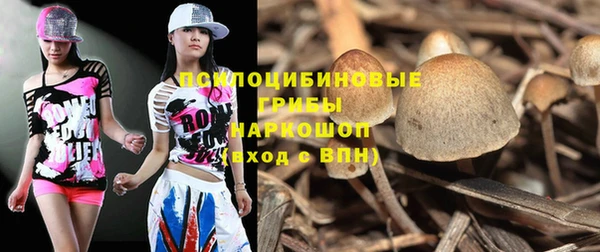 дживик Алзамай