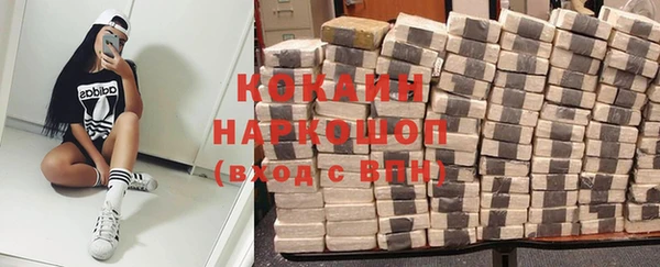кокс Алексин