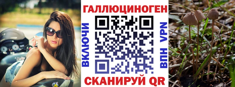 блэк спрут вход  наркотики  Пыталово  Псилоцибиновые грибы Magic Shrooms 